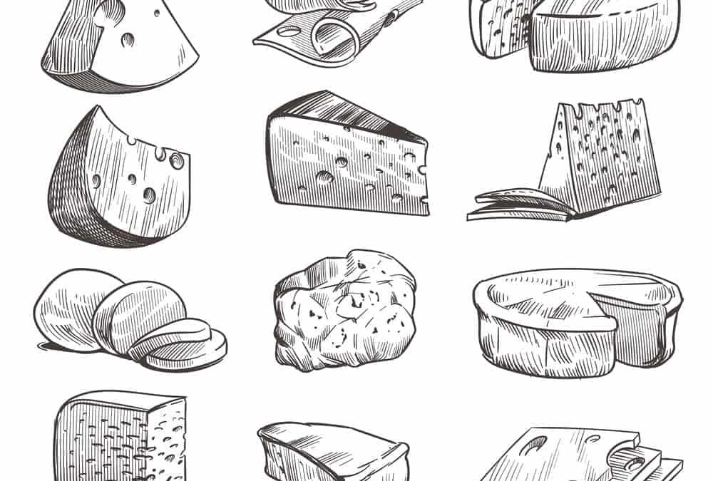 Descubre los diferentes tipos de quesos: una guía completa