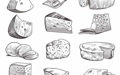 Descubre los diferentes tipos de quesos: una guía completa